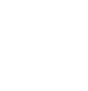 Logo-footer-2
