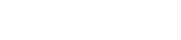Logo-footer-mark