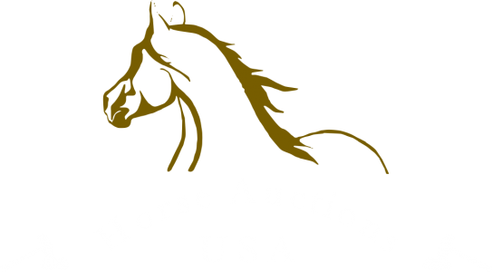 Logo-footer