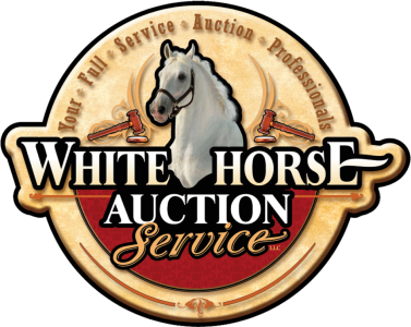 Logo-footer-color-textured