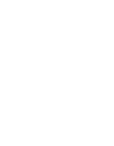 Logo-footer