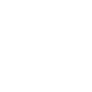 Logo-footer