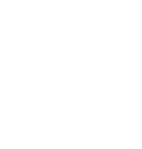 Logo-footer-white-v