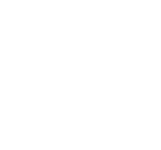 Logo-footer