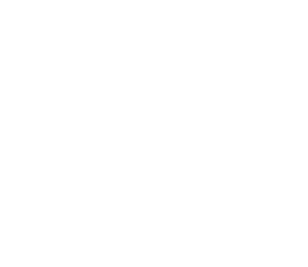 Logo-footer
