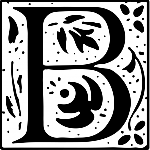 Logo-footer