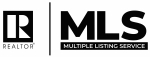 2020 mls final black