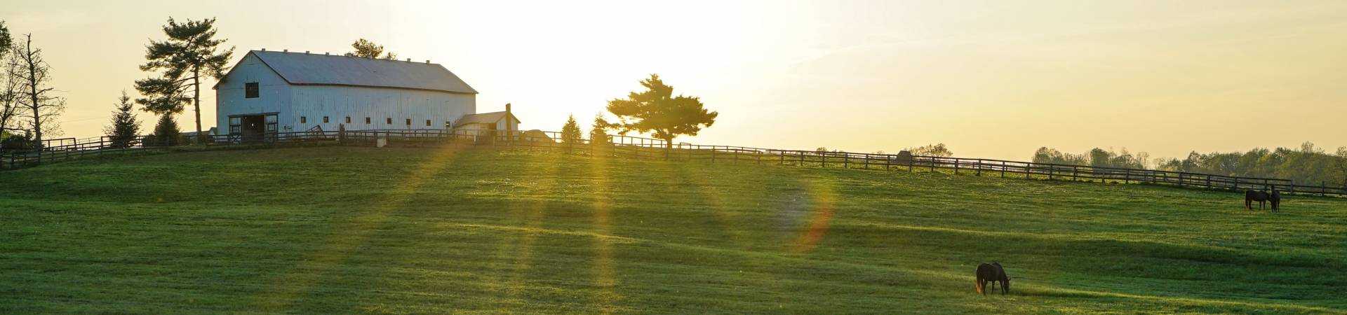 White-house-beside-grass-field-2042161