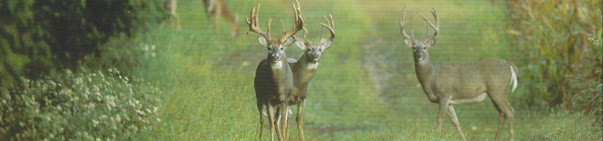 Document 2022-07-18 160707