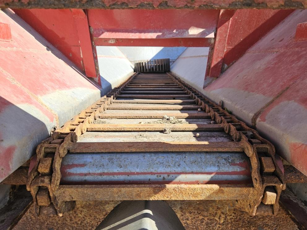 Image for BBI Litter