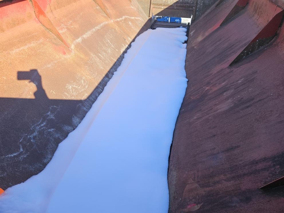 Image for Chandler 16