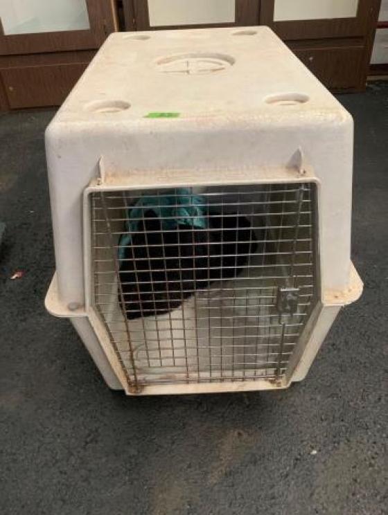 Image for VIRTUAL AUCTION - Longaberger Baskets, DVDs and Movies, Tools, Household, Furniture