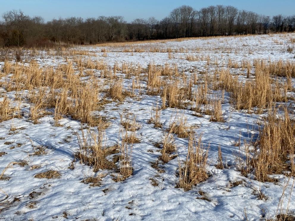 Image for REAL ESTATE - 35 +/- Acres Zoned C-2 & CI-1 in Loudoun County, VA