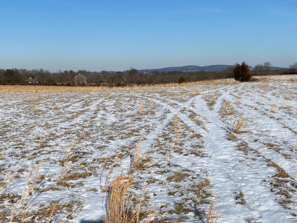 Image for REAL ESTATE - 35 +/- Acres Zoned C-2 & CI-1 in Loudoun County, VA