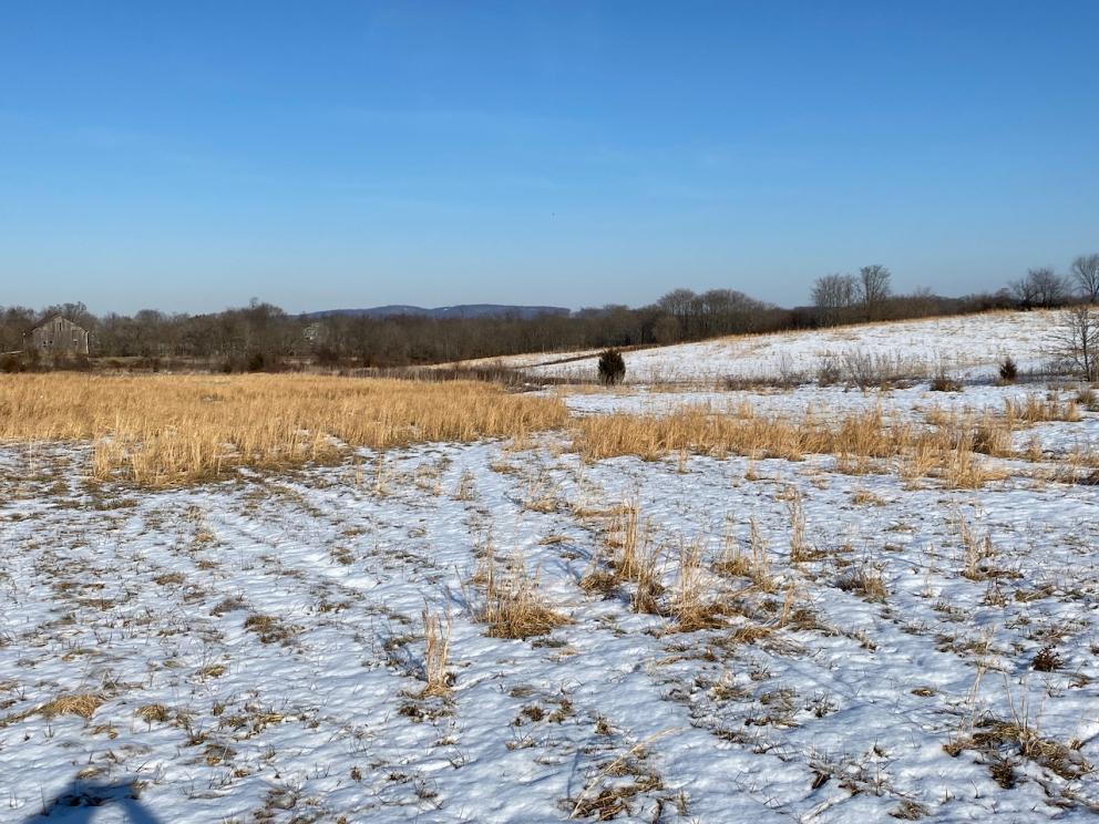 Image for REAL ESTATE - 35 +/- Acres Zoned C-2 & CI-1 in Loudoun County, VA