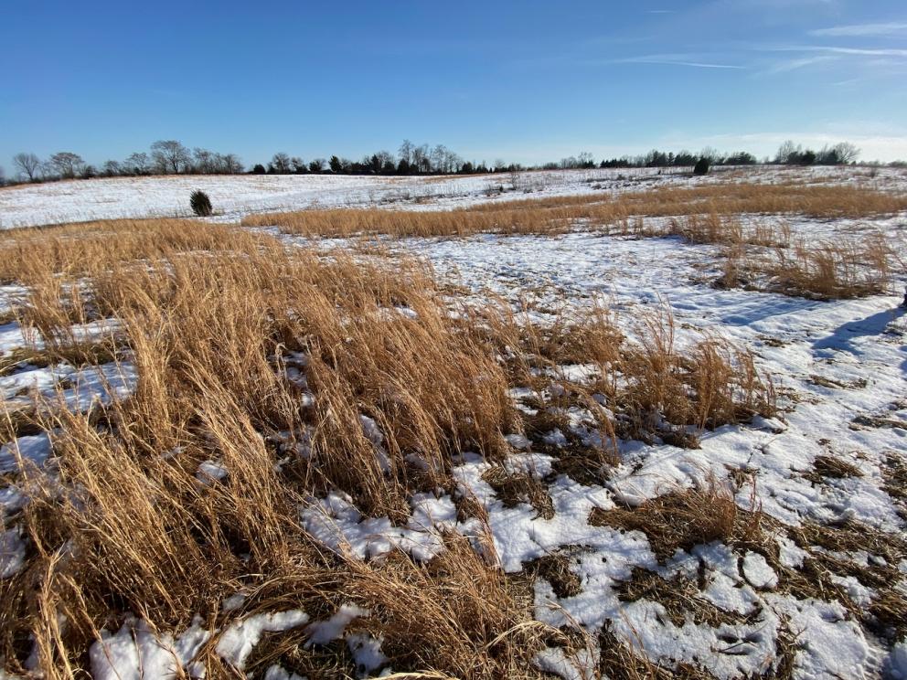 Image for REAL ESTATE - 35 +/- Acres Zoned C-2 & CI-1 in Loudoun County, VA
