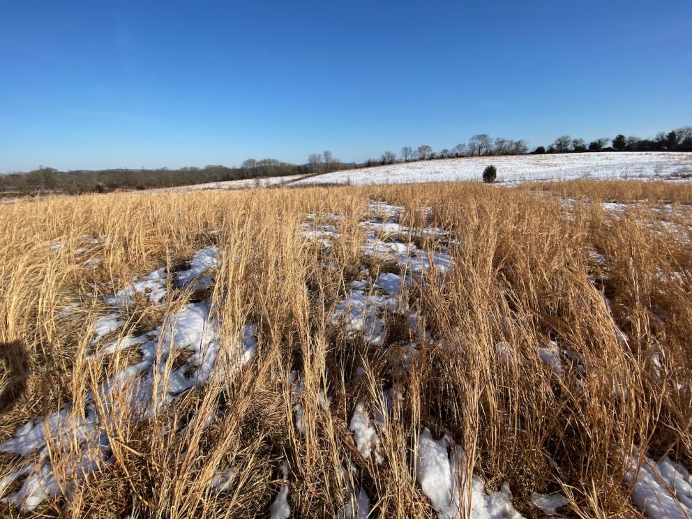 Image for REAL ESTATE - 35 +/- Acres Zoned C-2 & CI-1 in Loudoun County, VA