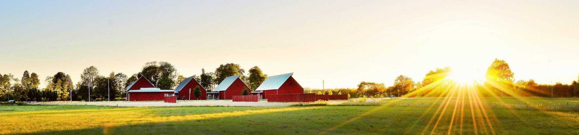 Pexels-jonathan-petersson-1198507