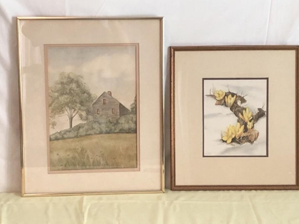 Image for Tieche Family Collection