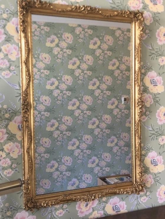 Image for Tieche Family Collection