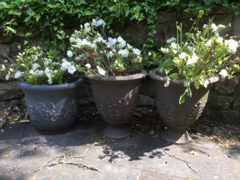 Image for Wonderful Estate of Mrs. Mary Jo Ferguson