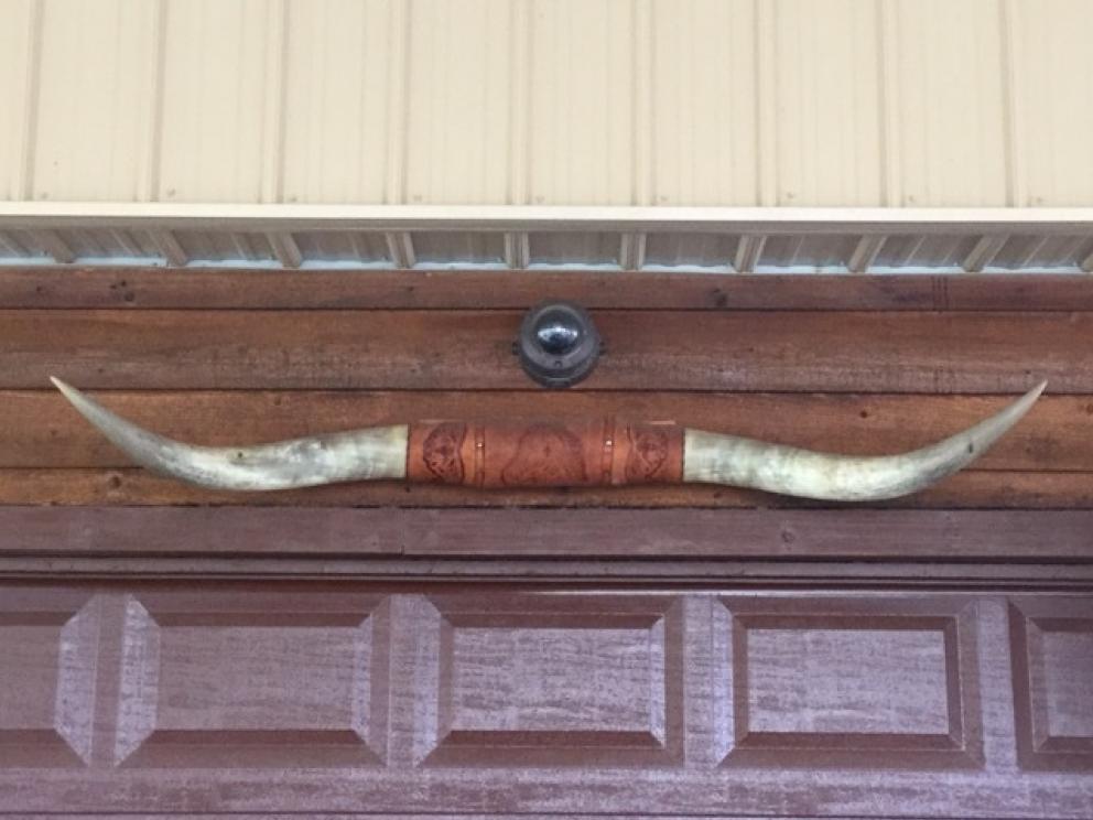 Image for Amazing Wagstaff Collection - Mecklenburg Co.