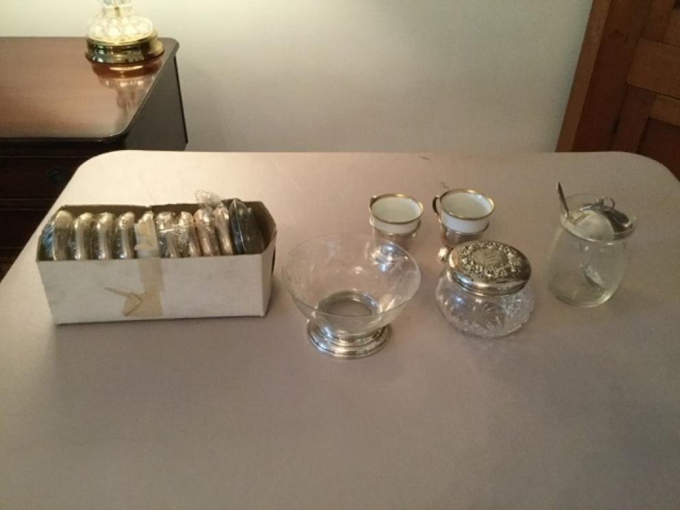 Image for The Anna Ward Wilson Collection