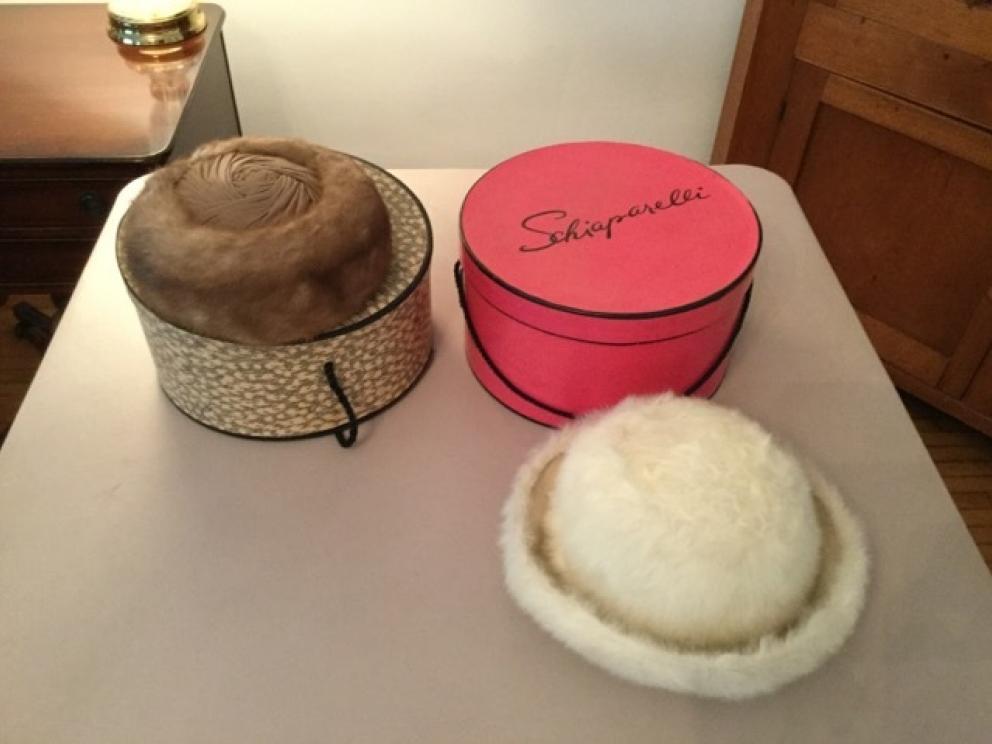 Image for The Anna Ward Wilson Collection