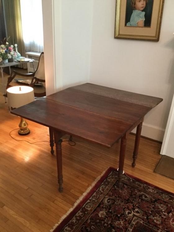 Image for The Anna Ward Wilson Collection