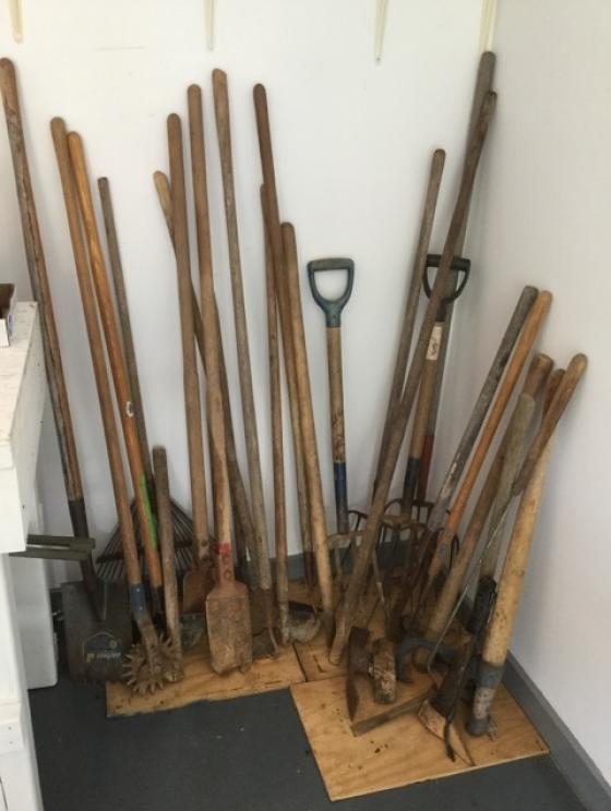 Image for Collection of Elizabeth and Carroll Hill Online Auction