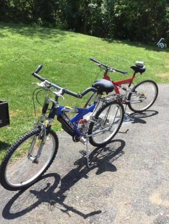 Image for Collection of Elizabeth and Carroll Hill Online Auction