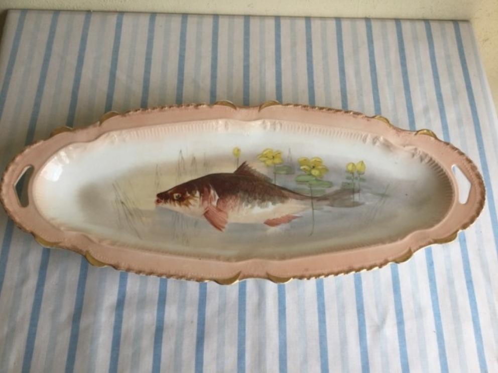 Image for Dillard Collection of Roanoke, Virginia