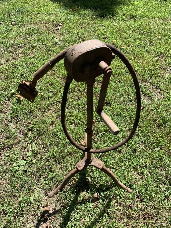 Image for LIVE - Large White Sulphur Estate