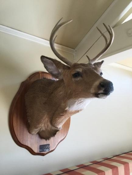 Image for SHORT NOTICE Dr. and Mrs. Dean Evans Collection - Princeton, WV