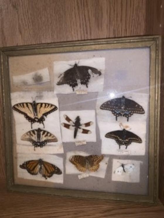 Image for Vintage Automotive Parts and Unique Collectibles