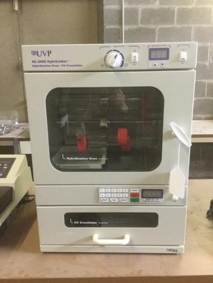 Image for University Surplus Auction