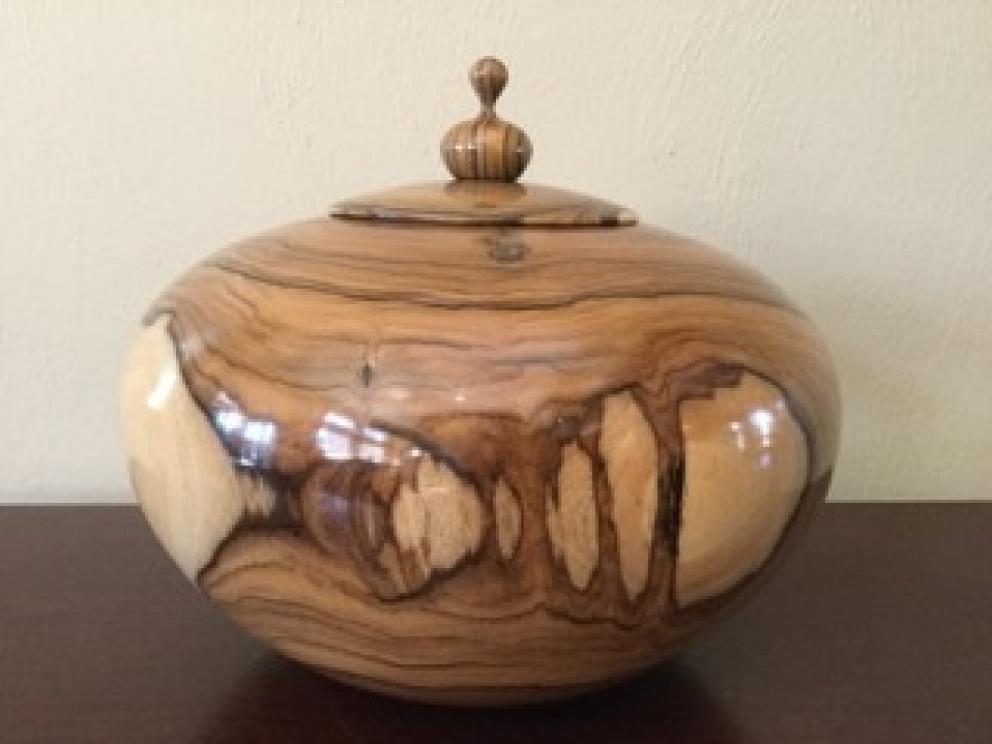 Image for Amazing Leslie Family Collection