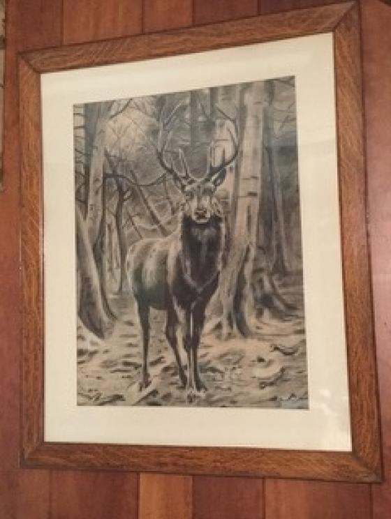 Image for Extravagant Arts, Interiors and Gardens