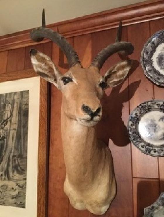 Image for Extravagant Arts, Interiors and Gardens