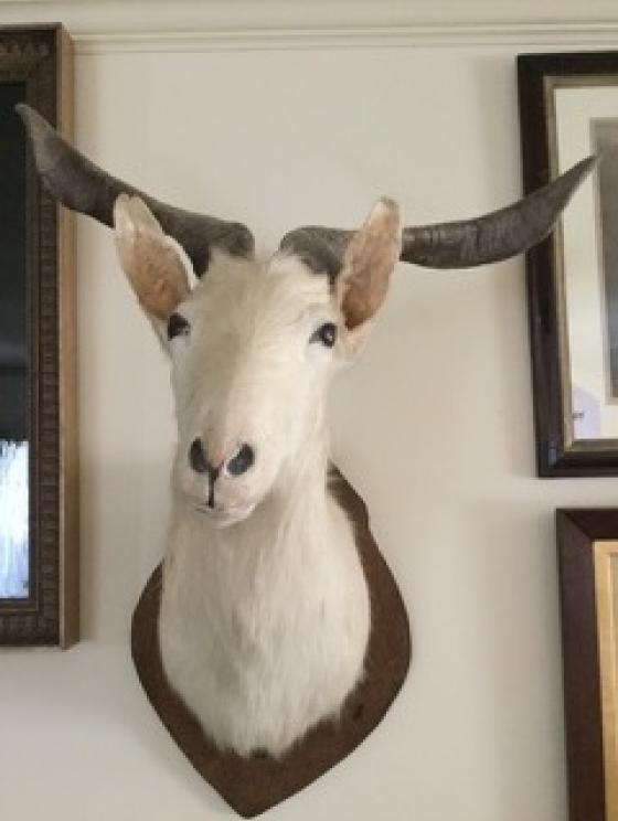 Image for Extravagant Arts, Interiors and Gardens