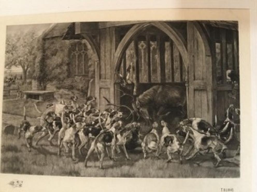 Image for Extravagant Arts, Interiors and Gardens