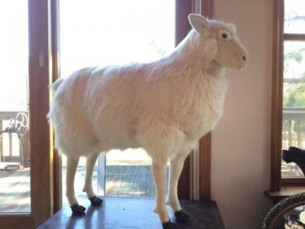 Image for Incredible Keysville, VA Collection