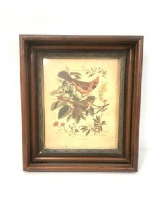 Image for Unique Rarities and Nifty Finds