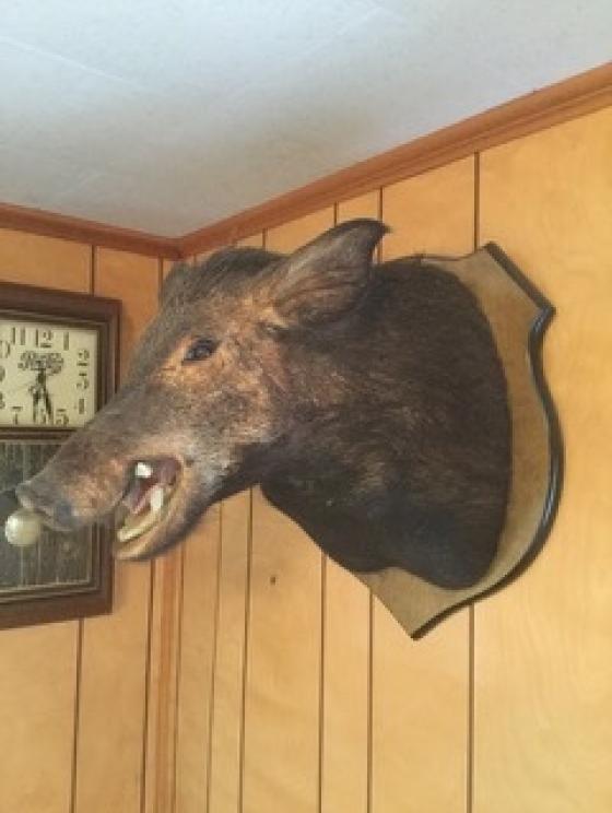 Image for NOW ONLINE!-AMAZING ESTATE OF JAMES “BURL” REECE