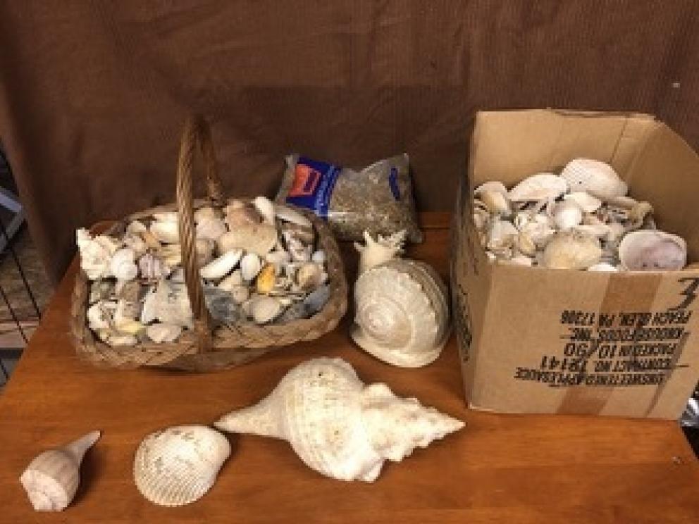 Image for BACK ON SCHEDULE-Whittaker Collection of Athens, WV