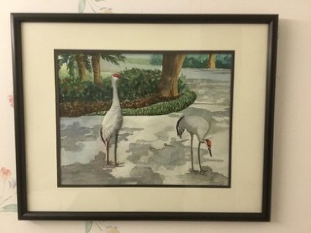 Image for URGENT SHORT NOTICE! - Wonderful Havnaer Family Collection-Salem, VA