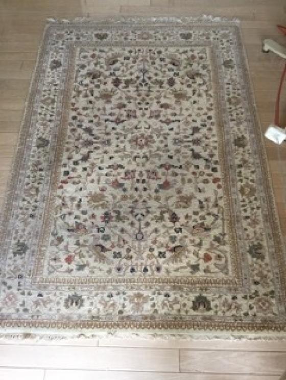 Image for URGENT SHORT NOTICE! - Wonderful Havnaer Family Collection-Salem, VA