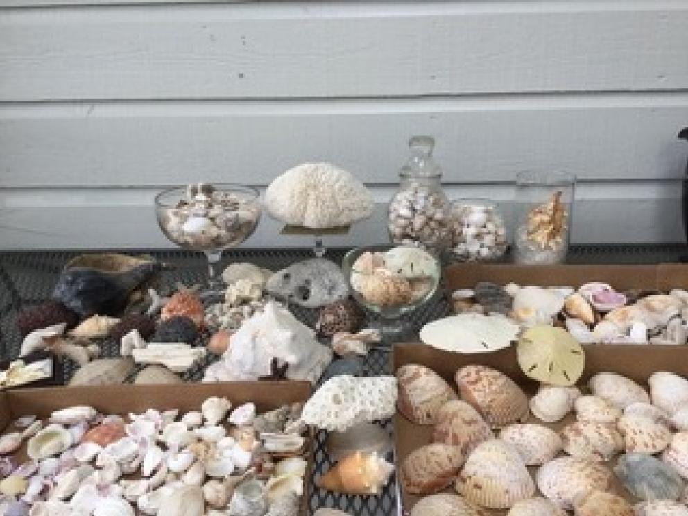 Image for URGENT SHORT NOTICE! - Wonderful Havnaer Family Collection-Salem, VA