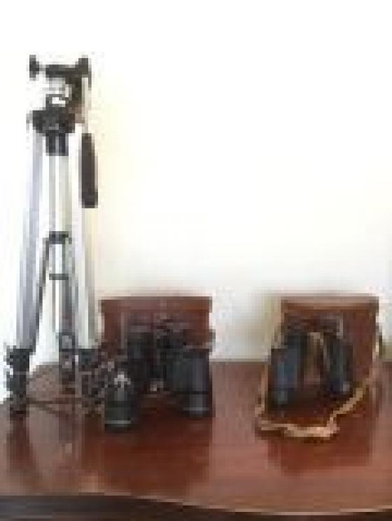 Image for Lifetime Bigler Family Collection