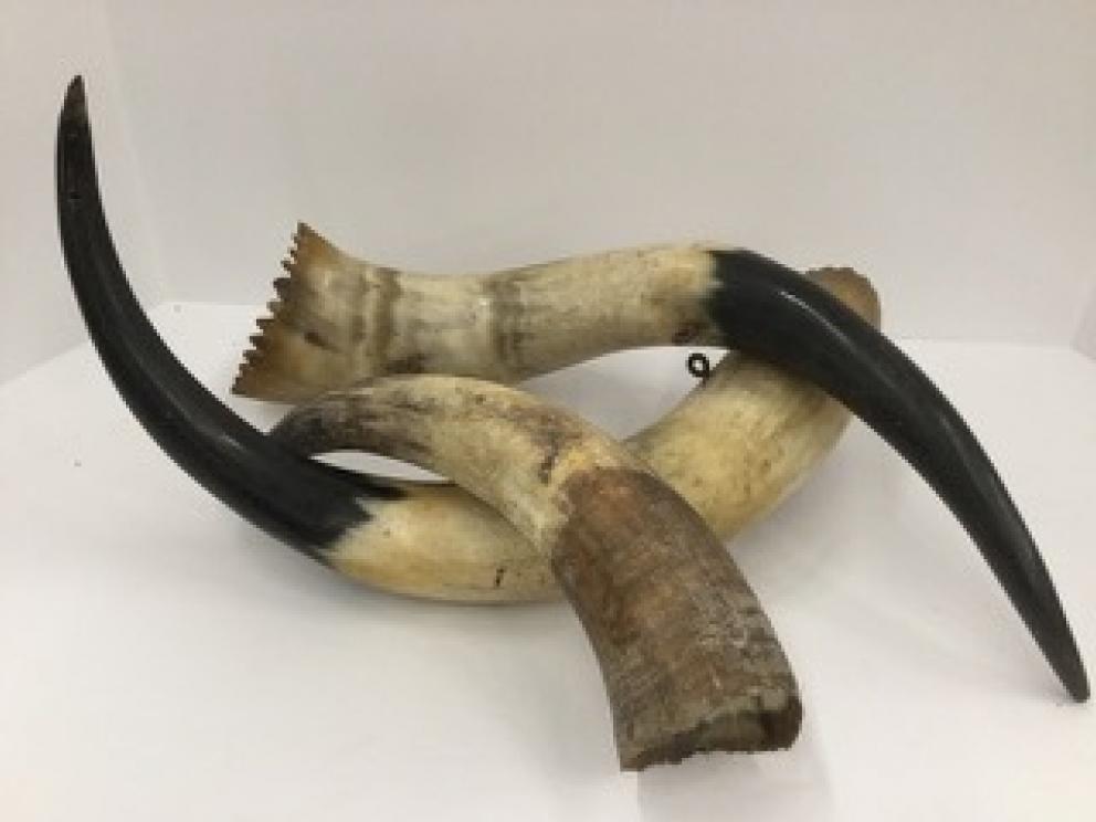 Image for The Robin Agee Collection of Farmville, VA